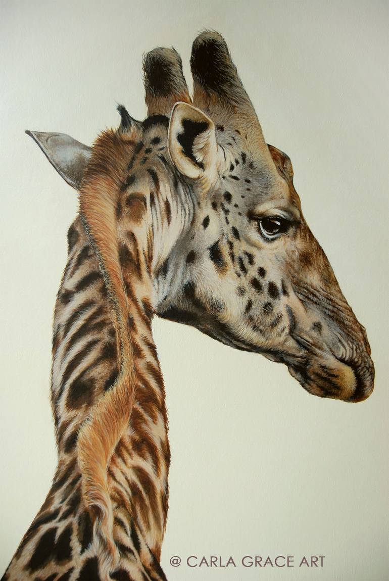 Original Fine Art Animal Painting by Carla Grace