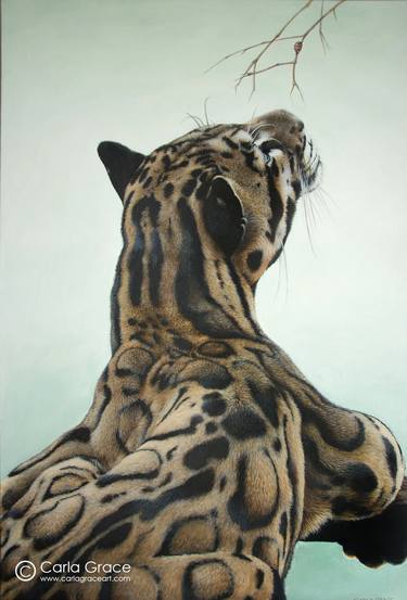 Original Fine Art Animal Paintings by Carla Grace