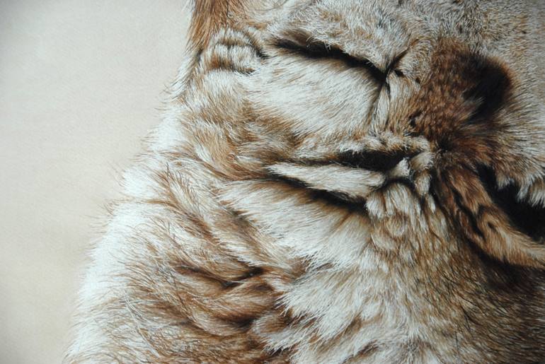 Original Other Animal Drawing by Carla Grace