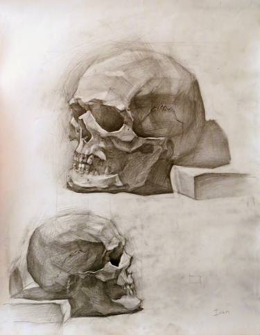 Academic Study drawing. Skull. thumb