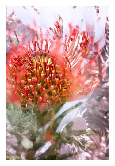 Original Floral Mixed Media by Caddelle Faulkner