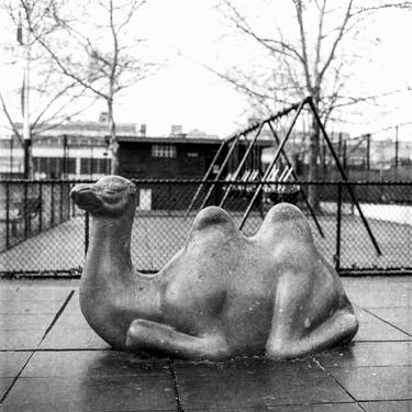Happy camel from Bedford - Stuyvesant thumb