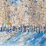 Painting: Watercolor on Paper

Fine Art - From Emília Urbaníková

Tittle: Winter scenery