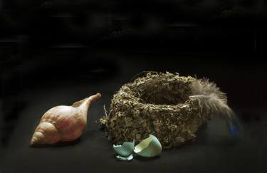 Original Still Life Photography by Krzysztof Janicki