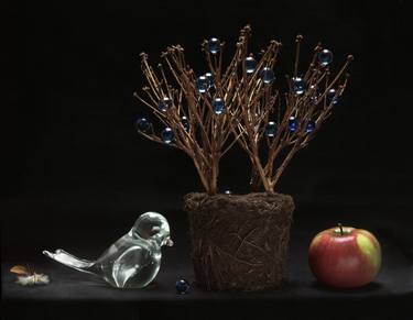 Original Still Life Photography by Krzysztof Janicki