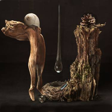 still lifa-adam and eve - Limited Edition 1 of 10 thumb