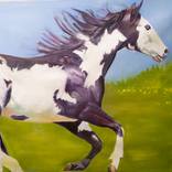 Wild Spirit by Scott Benites