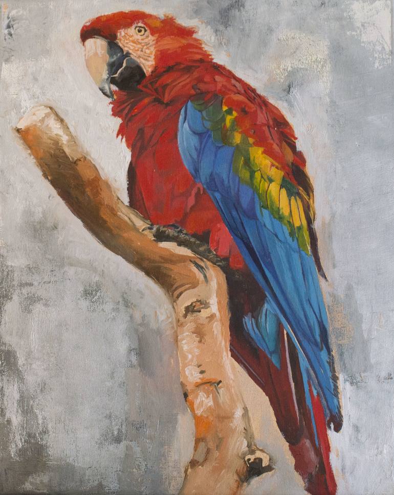 macaw painting