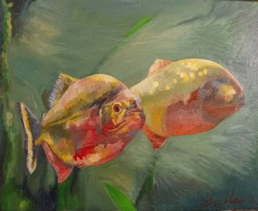 Original Realism Fish Paintings by Scott Benites