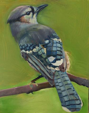 "Sapphire Symphony: The Enlightened Majesty of the Blue Jay" thumb