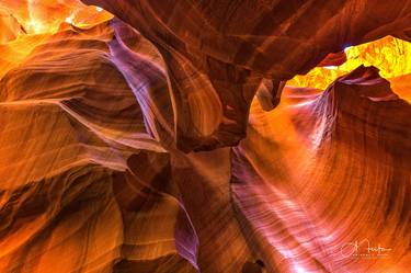 Print of Abstract Nature Photography by Anthony Festa
