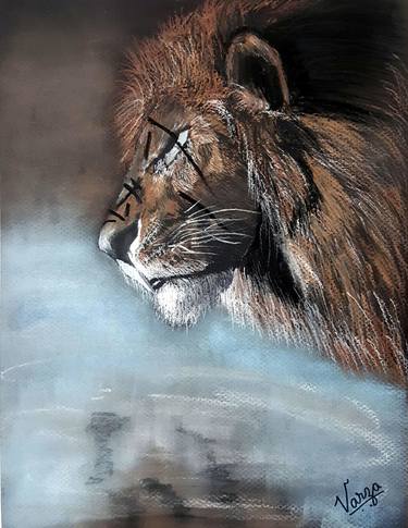 Original Realism Animal Drawings by Varjavan Dastoor