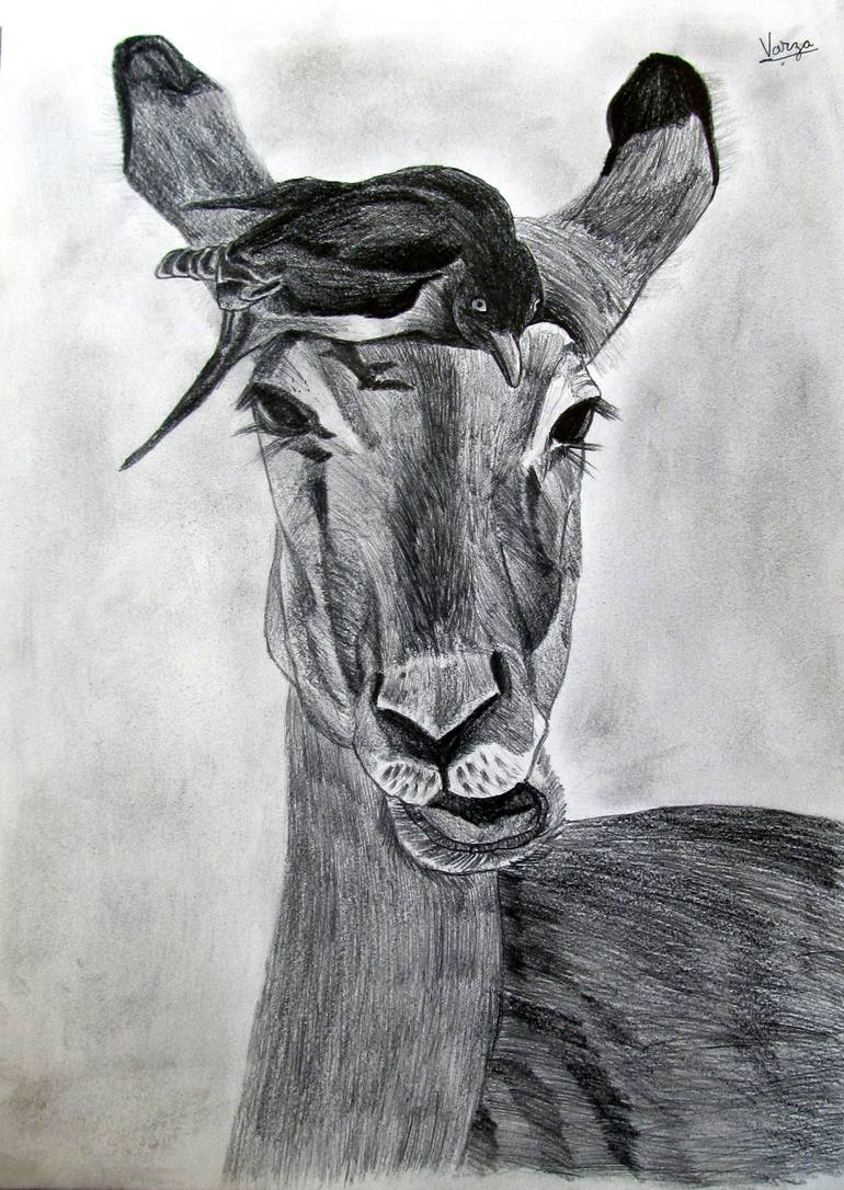 Symbiosis Drawing by Varjavan Dastoor Saatchi Art
