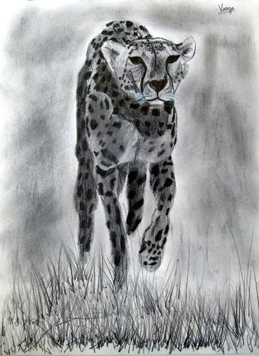 Original Realism Animal Drawings by Varjavan Dastoor