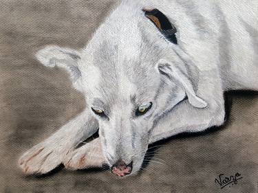 Original Realism Animal Drawings by Varjavan Dastoor