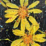 Collection Curator Picks: Canvas Prints