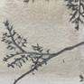 Detail.