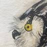 Detail.