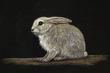 Print of Realism Animal Paintings by Lili Stewart