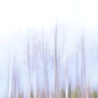 Print of Minimalism Nature Photography by Jacob Berghoef