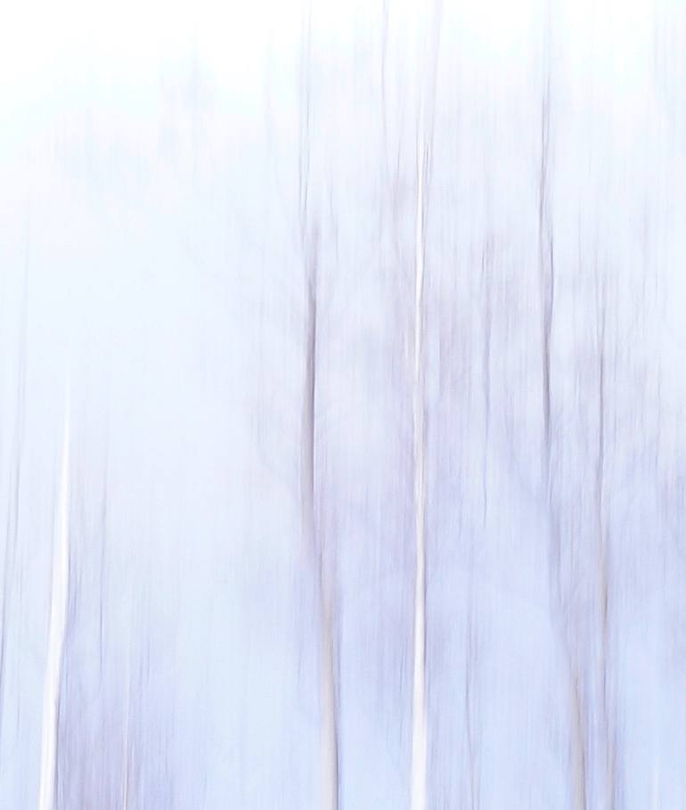 Original Minimalism Nature Photography by Jacob Berghoef