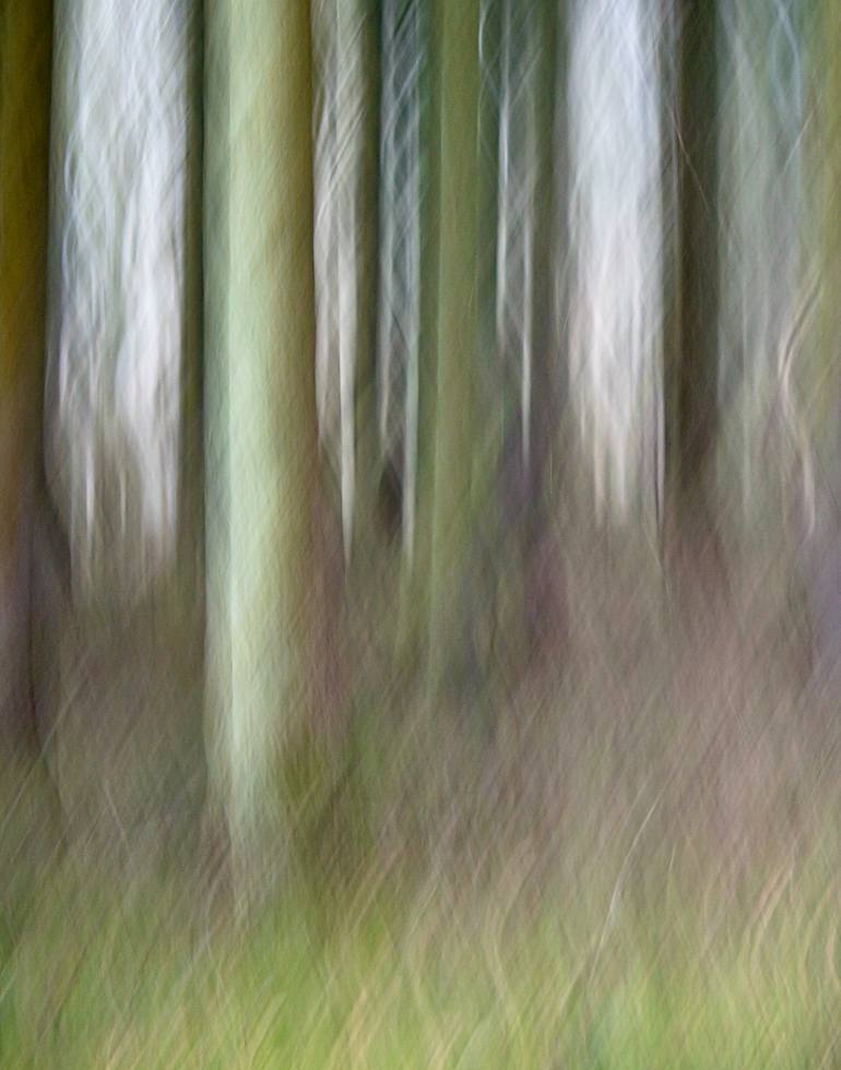 Original Modern Landscape Photography by Jacob Berghoef