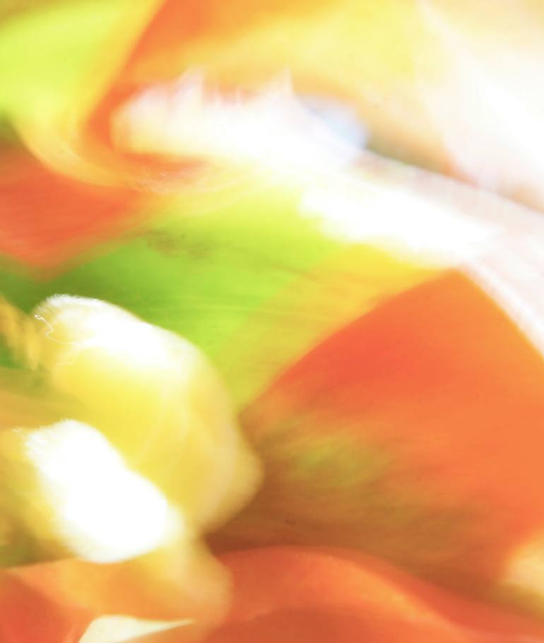 Original Abstract Expressionism Abstract Photography by Jacob Berghoef