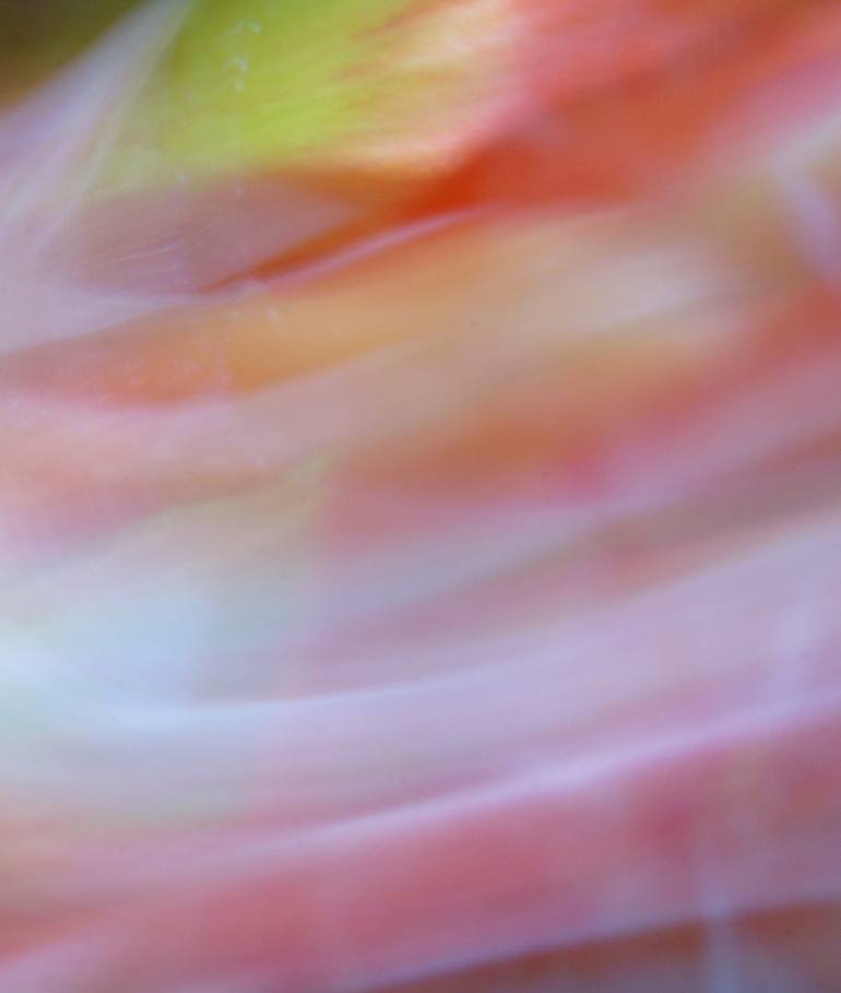 Original Abstract Expressionism Abstract Photography by Jacob Berghoef