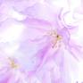 Detail 1