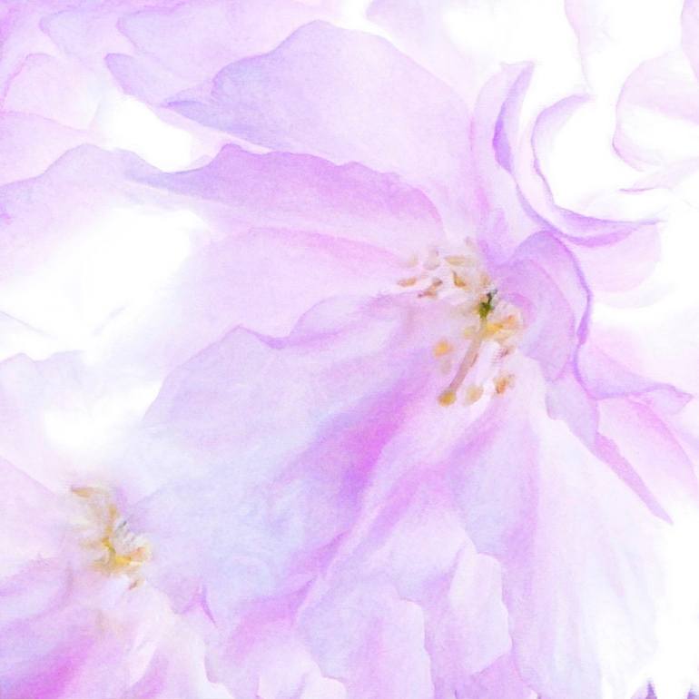 Original Figurative Floral Photography by Jacob Berghoef