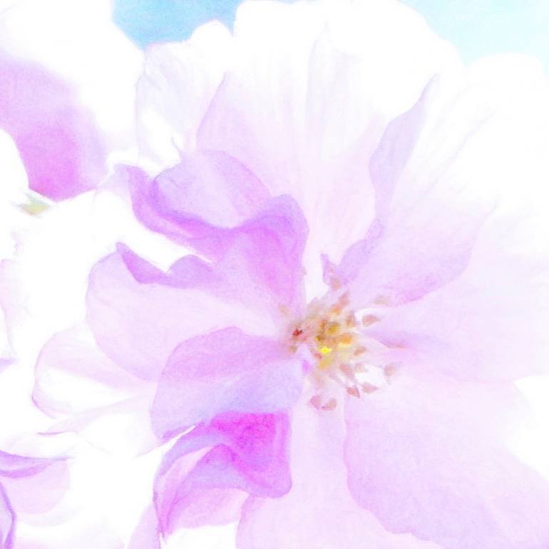 Original Figurative Floral Photography by Jacob Berghoef