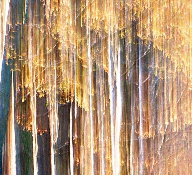 Original Impressionism Tree Photography by Jacob Berghoef