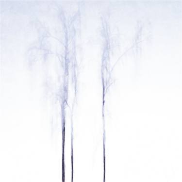 Original Minimalism Nature Photography by Jacob Berghoef