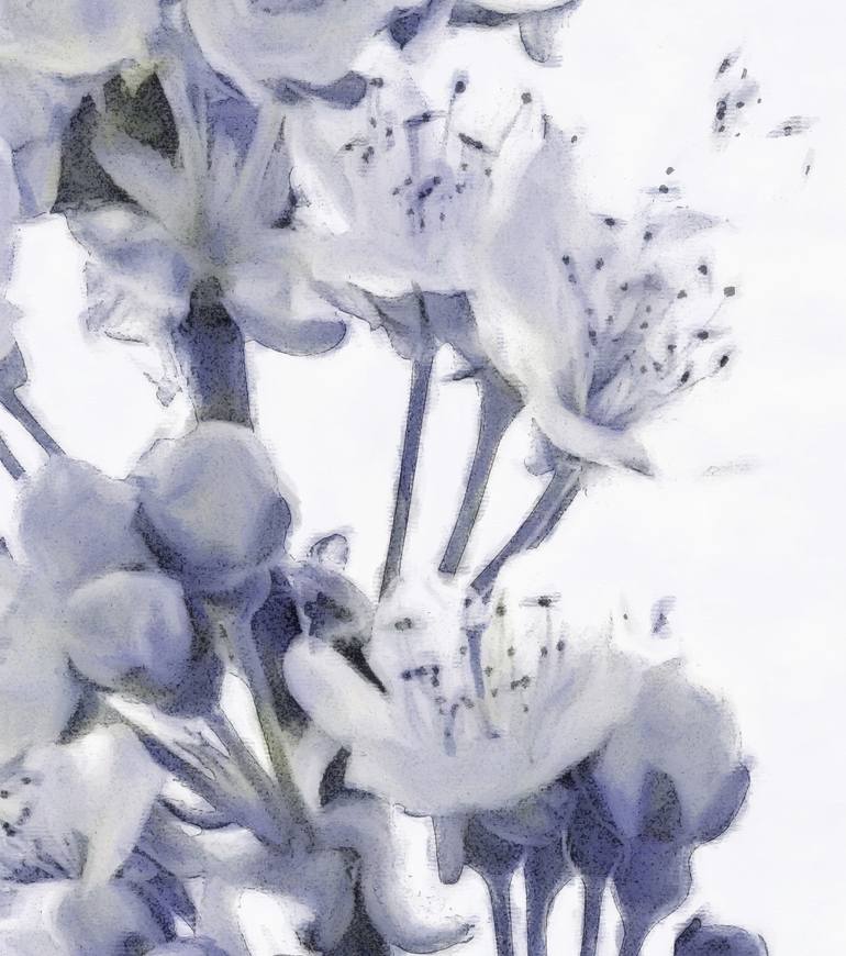 Original Impressionism Floral Photography by Jacob Berghoef