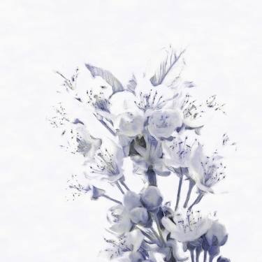 Original Impressionism Floral Photography by Jacob Berghoef