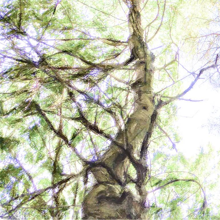 Original Expressionism Landscape Photography by Jacob Berghoef