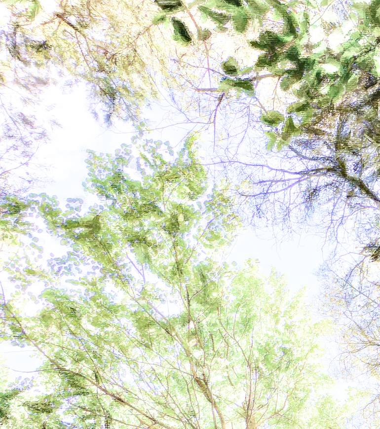 Original Expressionism Landscape Photography by Jacob Berghoef