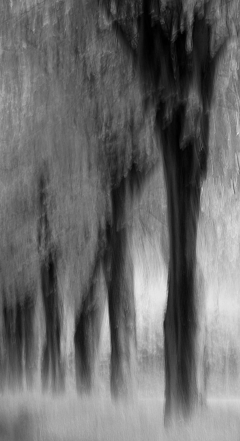 Original Impressionism Landscape Photography by Jacob Berghoef