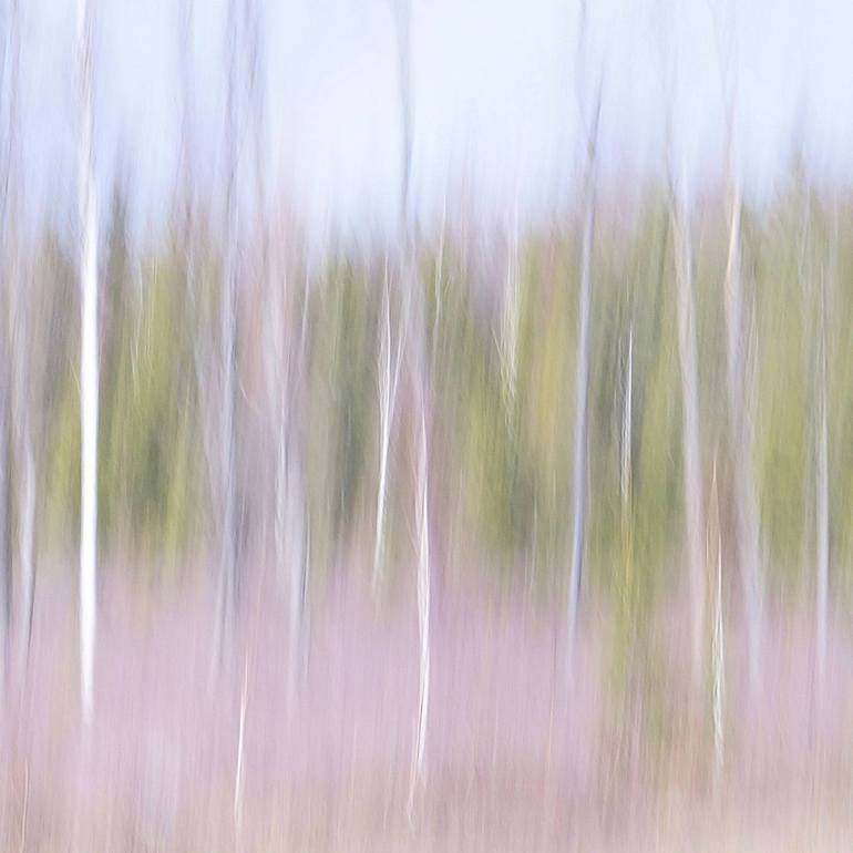 Original Abstract Landscape Photography by Jacob Berghoef