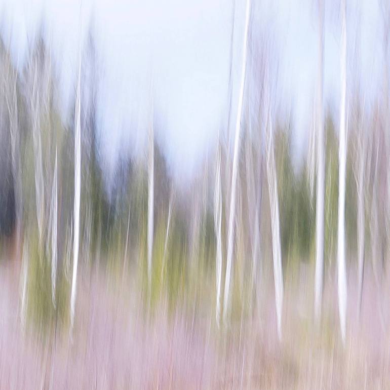 Original Abstract Landscape Photography by Jacob Berghoef