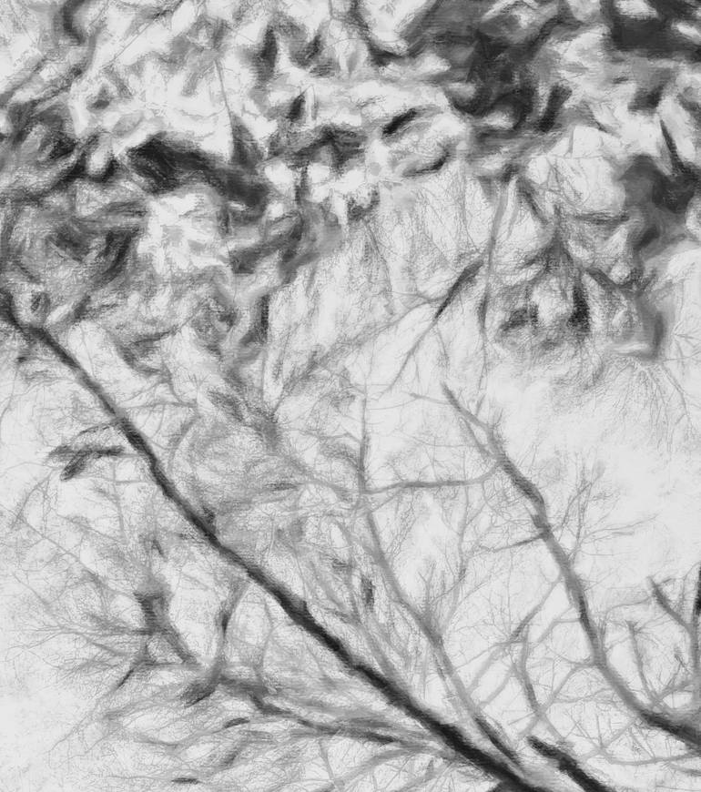 Original Expressionism Landscape Photography by Jacob Berghoef