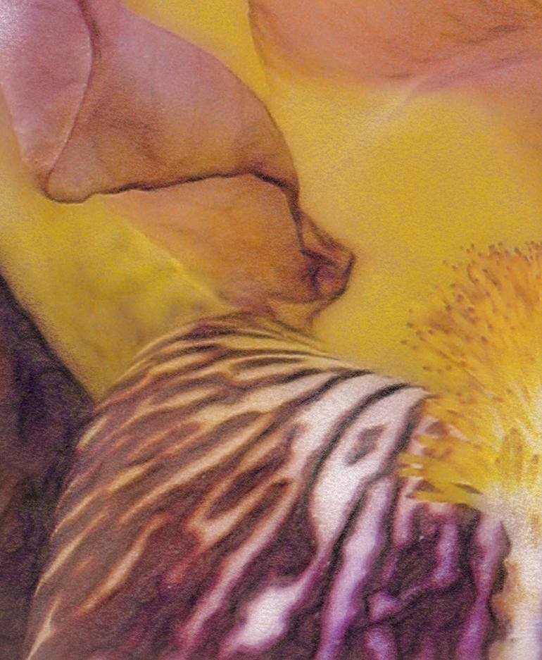 Original Impressionism Floral Photography by Jacob Berghoef