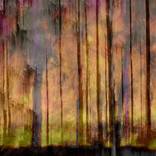 Collection Drowned Earth