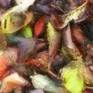 Detail 3