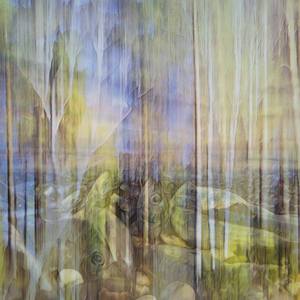 Collection Drowned Earth