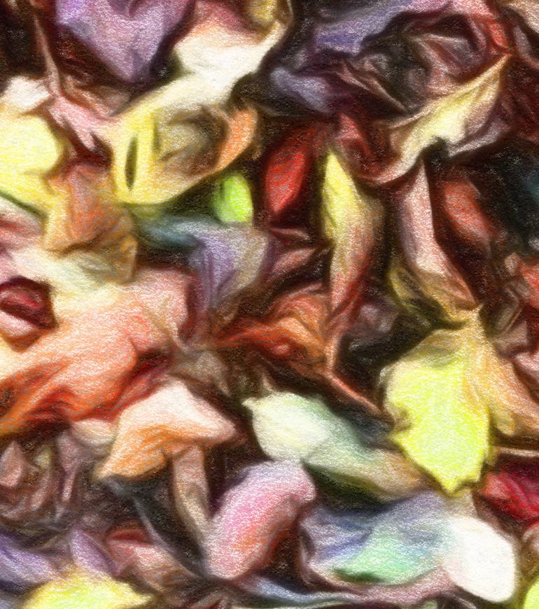 Original Figurative Nature Photography by Jacob Berghoef