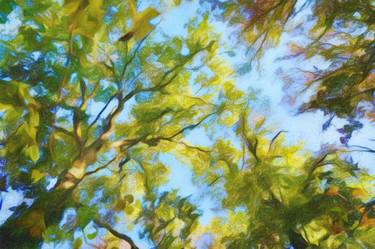 Original Impressionism Nature Digital by Jacob Berghoef