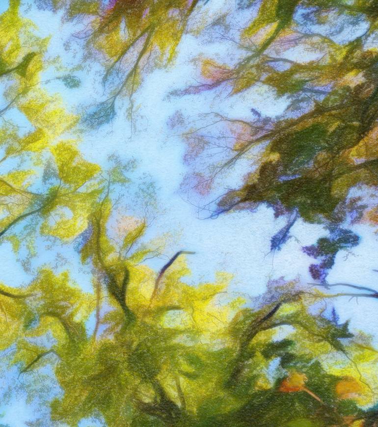 Original Expressionism Nature Photography by Jacob Berghoef