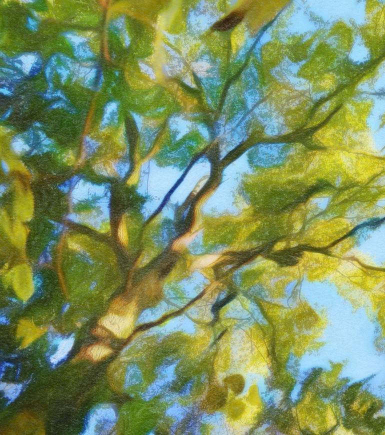 Original Expressionism Nature Photography by Jacob Berghoef