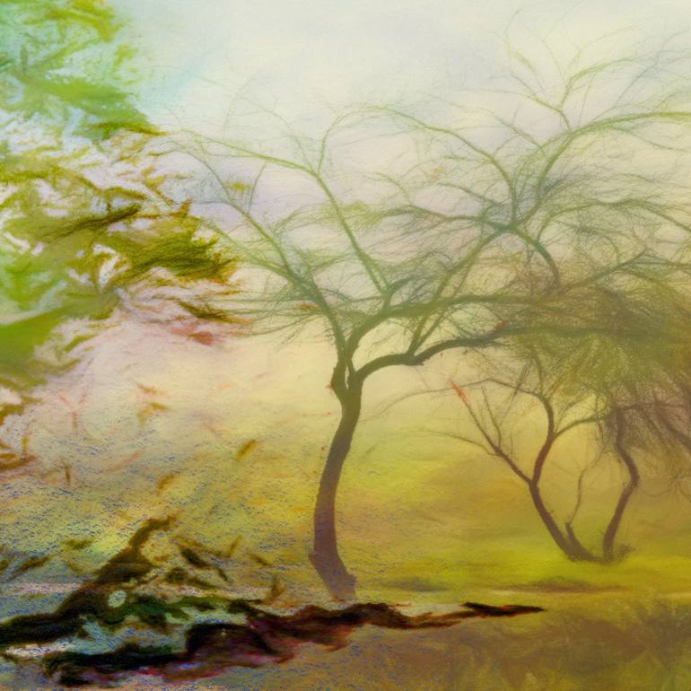 Original Expressionism Landscape Photography by Jacob Berghoef